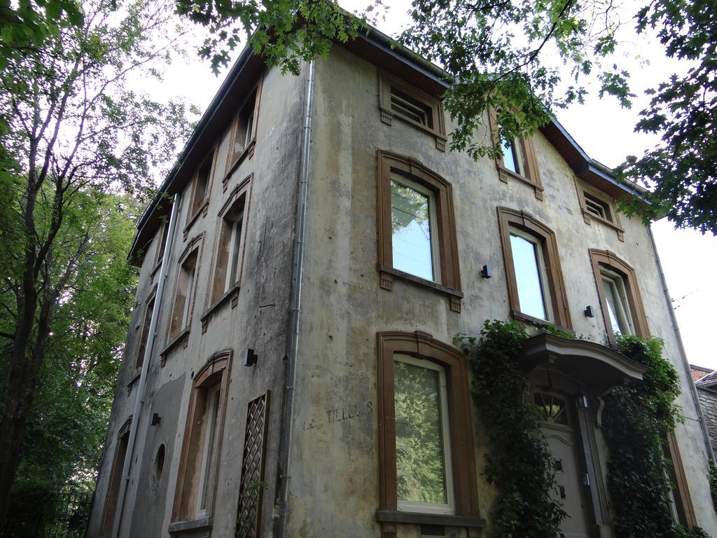 B&B Les Tilleuls 비엘살름 외부 사진