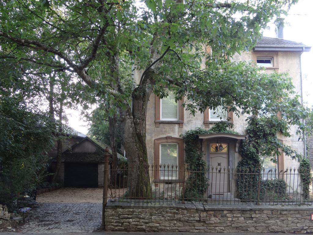 B&B Les Tilleuls 비엘살름 외부 사진
